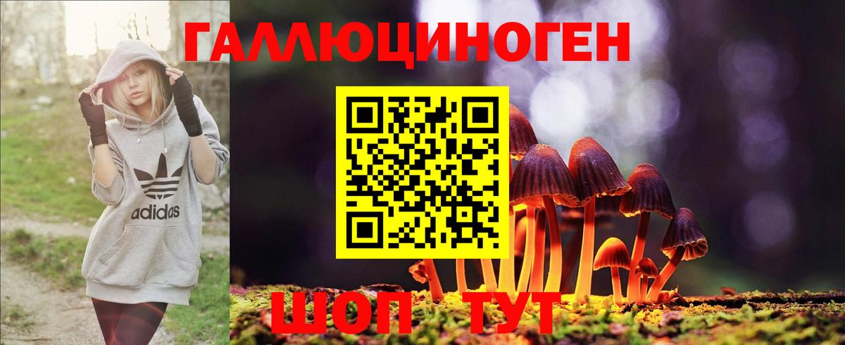 Галлюциногенные грибы GOLDEN TEACHER Павловский Посад