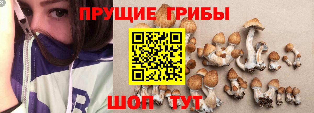 Альфа ПВП Павловский Посад